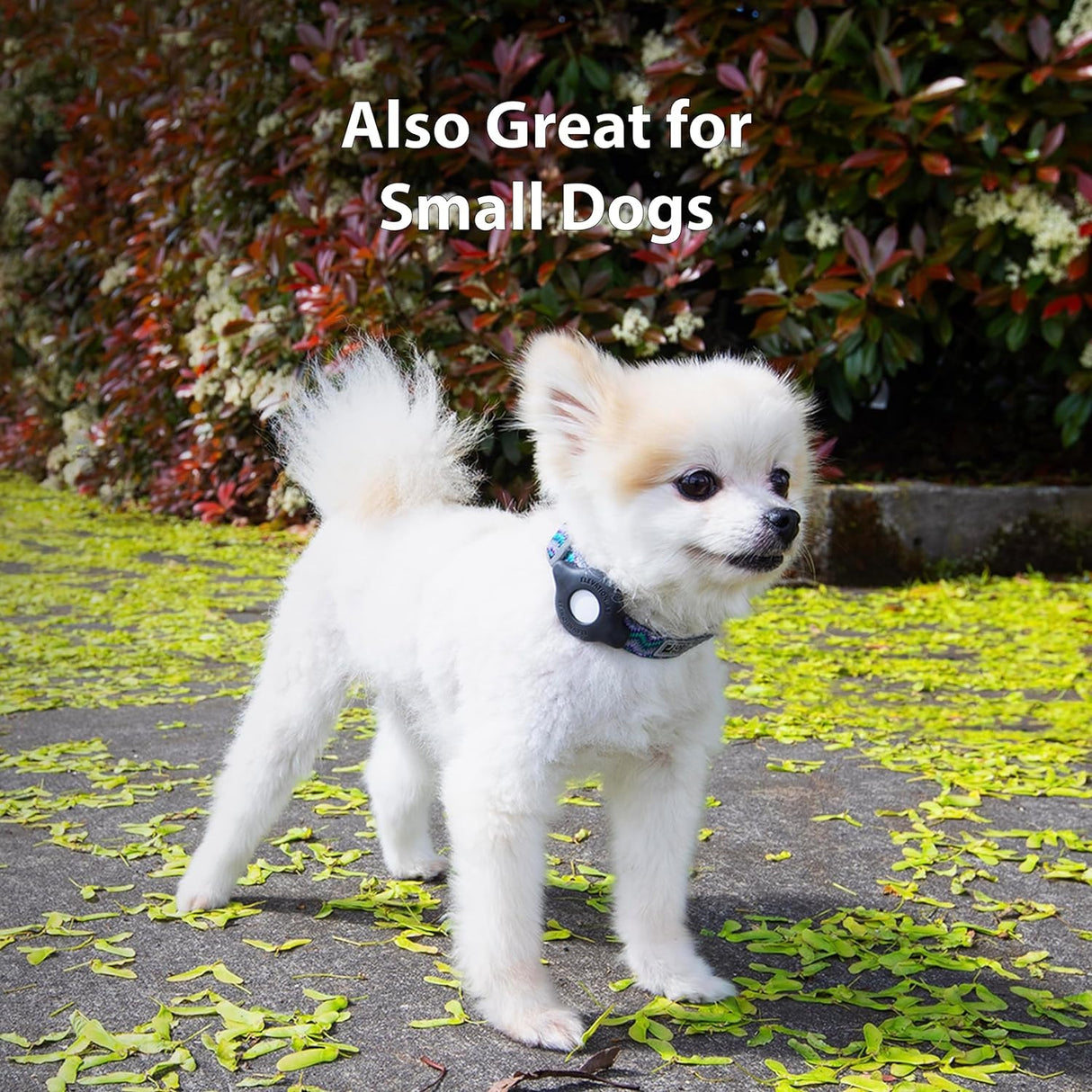 TagVault AirTag Soporte para Collar de Gato - No cuelga, también para perros pequeños