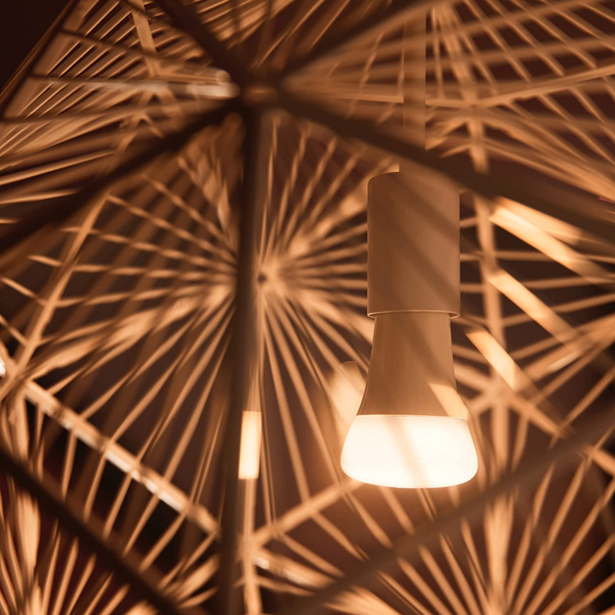 Philips Hue White Foco A19 1100 Lúmenes Bluetooth & Zigbee Funciona con Alexa y Google