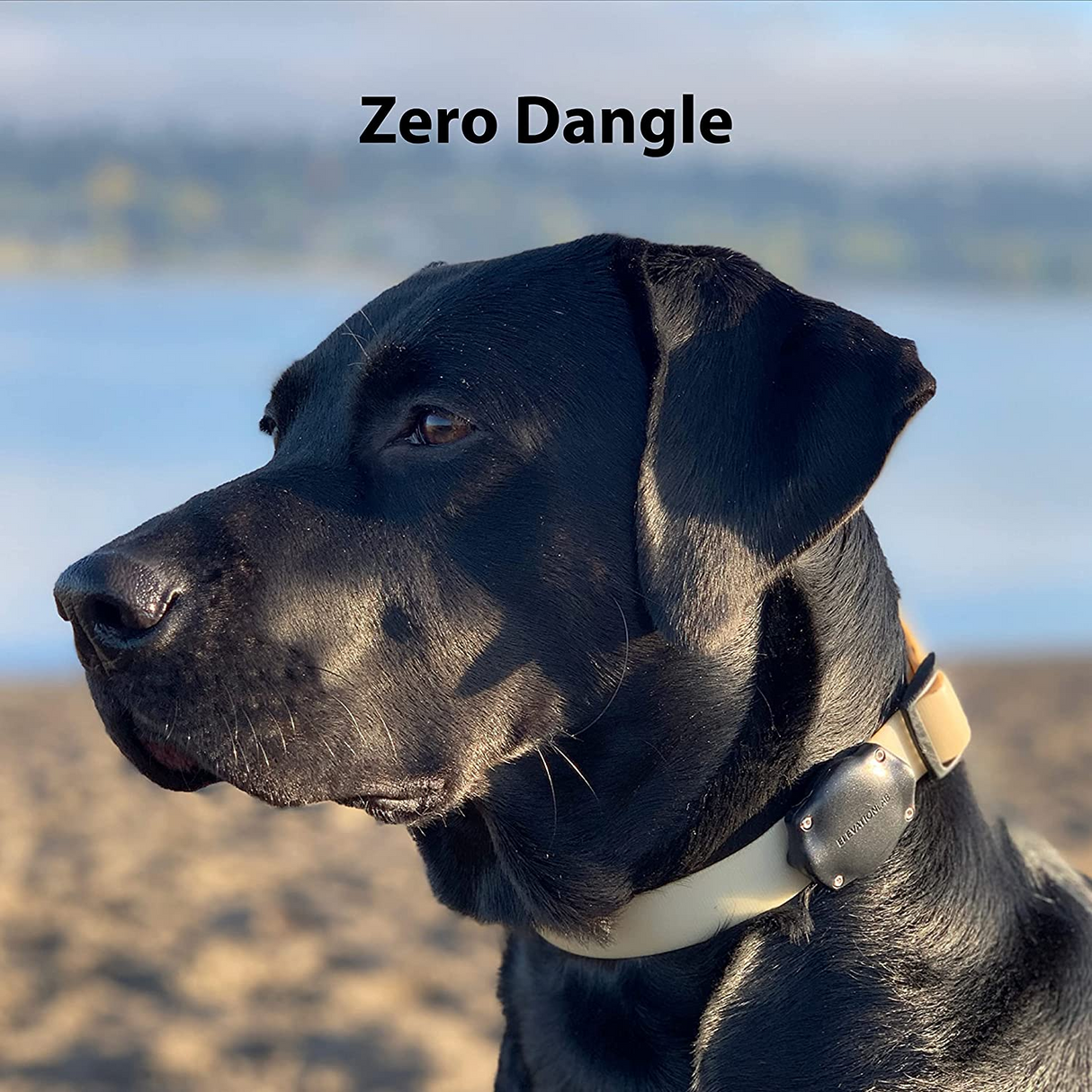 TagVault Pet Case para Apple AirTag Montaje para Collar de Perro y Gato Impermeable