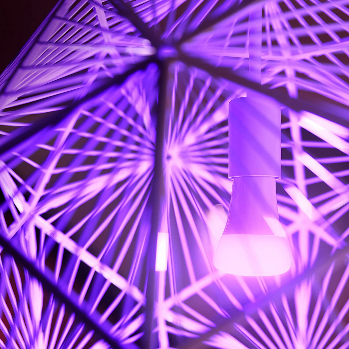 Philips Hue White and Color Foco A19 1100 Lúmenes Bluetooth & Zigbee Funciona con Alexa y Google