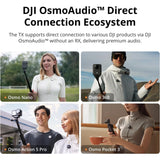 DJI Mic Mini (2 TX + 1 Mobile RX) Sistema de 2 Micrófonos Inalámbricos Lavalier para iPhone 17/16/15 y Android/PC/Tablet