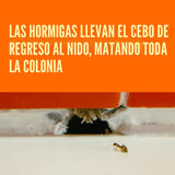 TERRO T324B Cebo Líquido para Hormigas