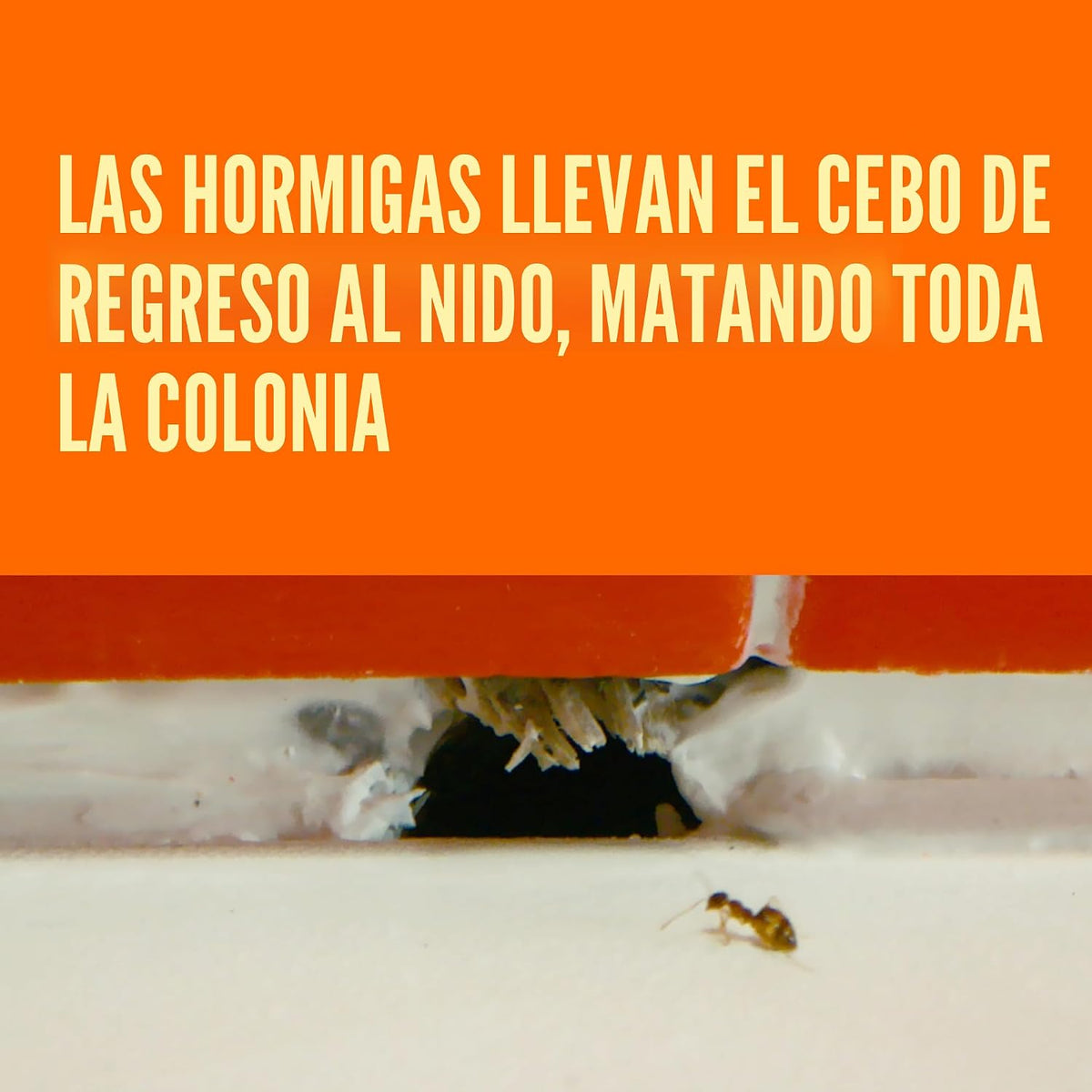 TERRO T300B Cebo Líquido para Hormigas 12 estaciones