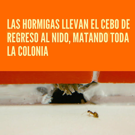 TERRO T300B Cebo Líquido para Hormigas 12 estaciones