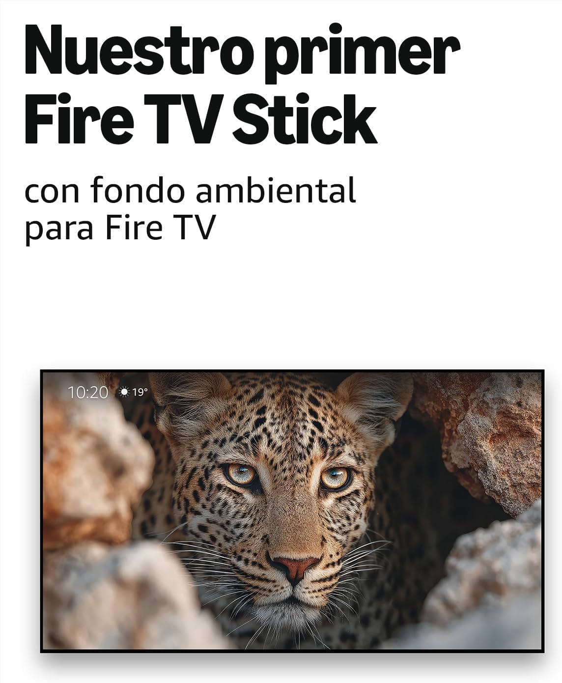 Amazon Fire TV Stick 4K Max (Fire OS - Android) | Dispositivo de streaming con Wi-Fi 6E y fondo ambiental