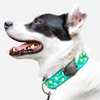 TagVault Pack de 4 Pet Case para Apple AirTag Montaje para Collar de Perro y Gato Impermeable