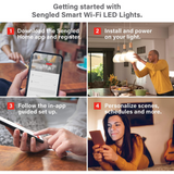 Foco Smart Sengled Wi-Fi LED Daylight A19 No Requiere Hub 5000K 60W Funciona con Alexa & Google Assistant