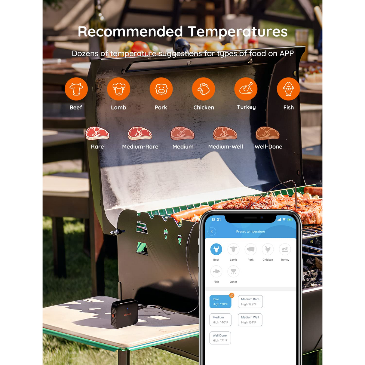 Govee Smart Meat Termómetro Inteligente para Carnes Ahumador Monitor Remoto Bluetooth 70 metros